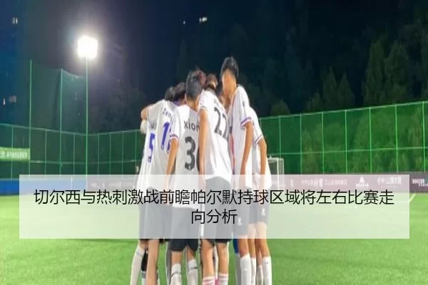 切尔西与热刺激战前瞻帕尔默持球区域将左右比赛走向分析